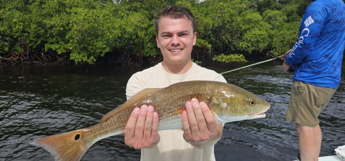  Naples redfish in August