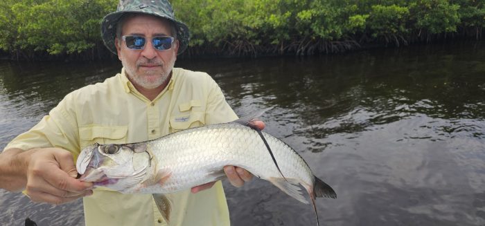 funsize tarpon in August