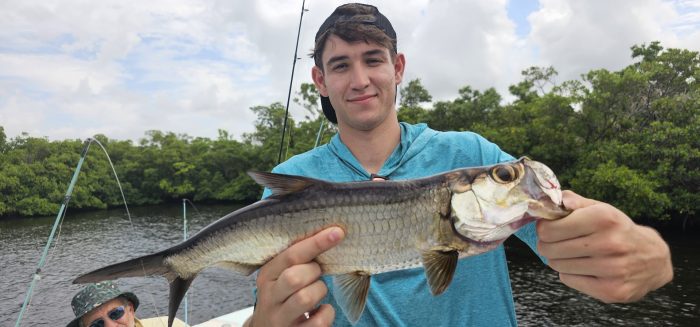 Naples Funsize tarpon in August