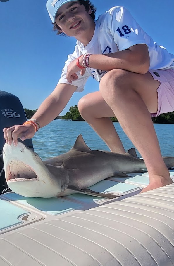 napes shark fishing in august