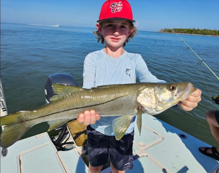 Naples snook fishing in August