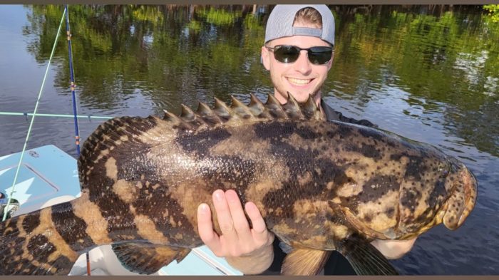 #goliathgrouper are always fun to catch!